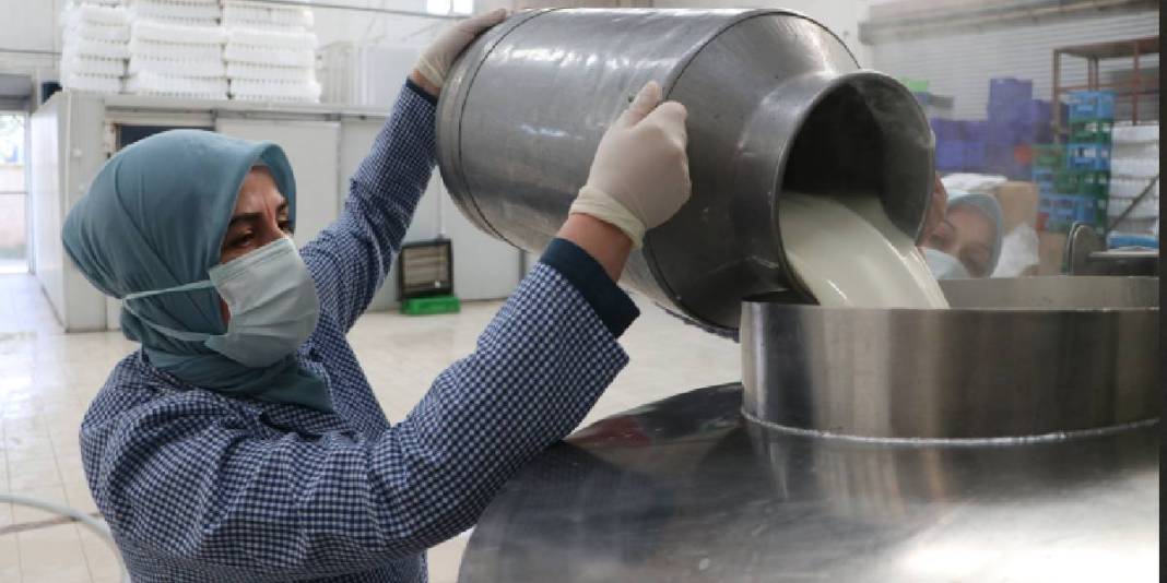 9 kadından günlük 7 ton üretim: Sütten çeşit çeşit lezzet elde ediyorlar 1